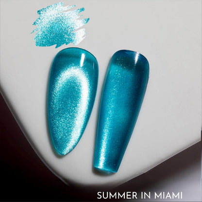 Summer in Miami