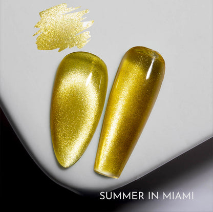 Summer in Miami